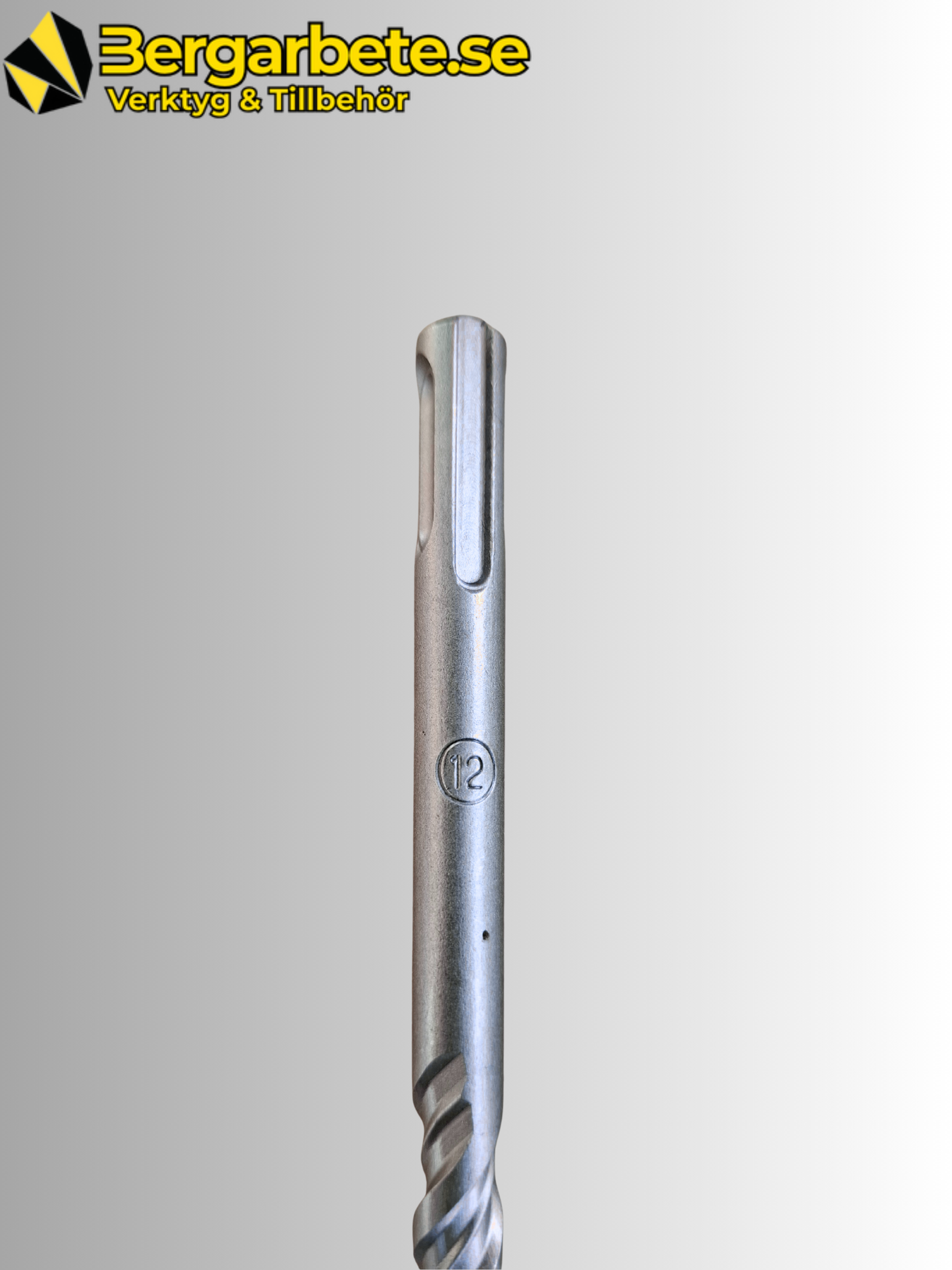 SDS-PLUS BORR 12×310 mm