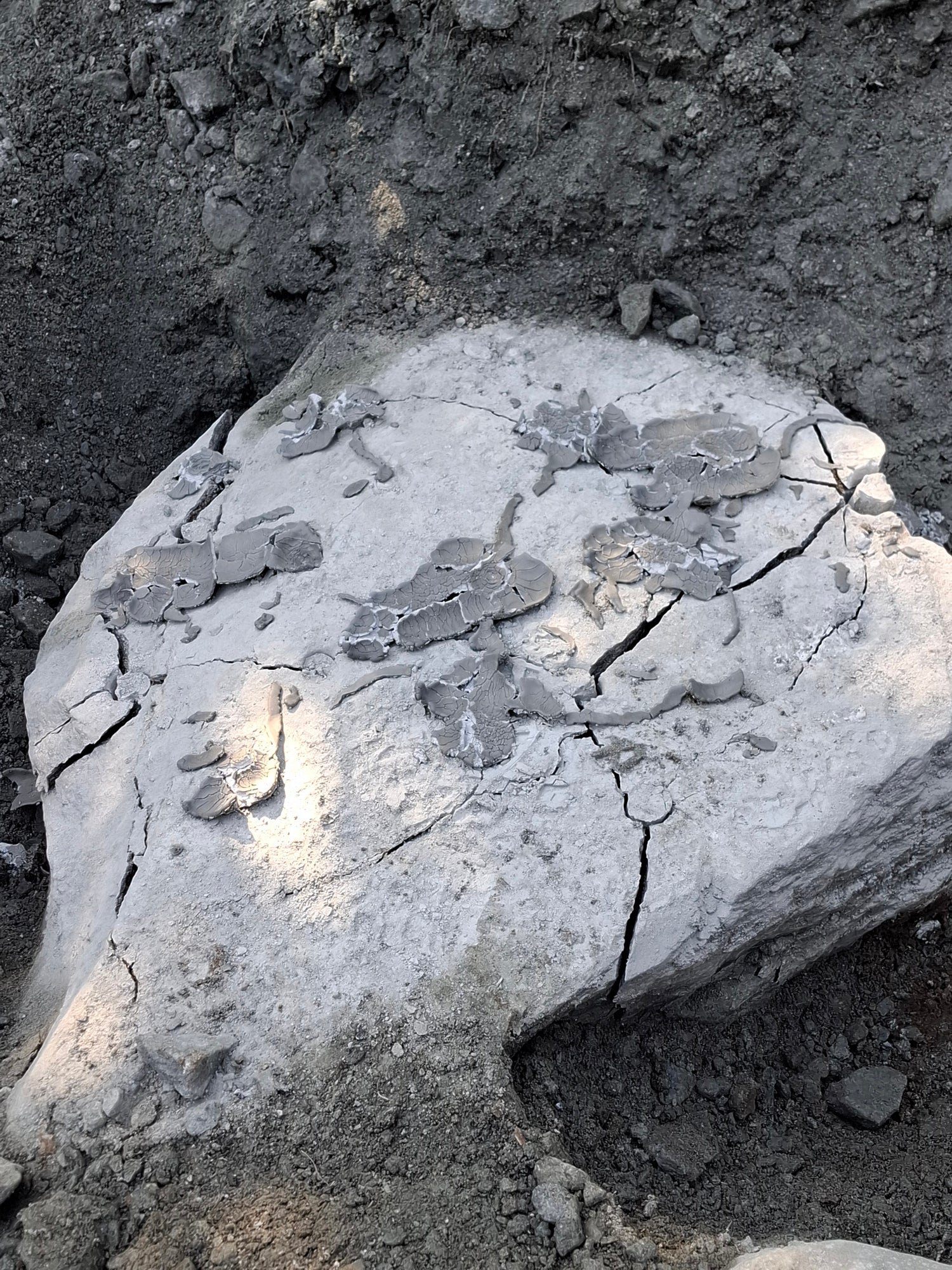 BETONAMIT® 20kg Kartong